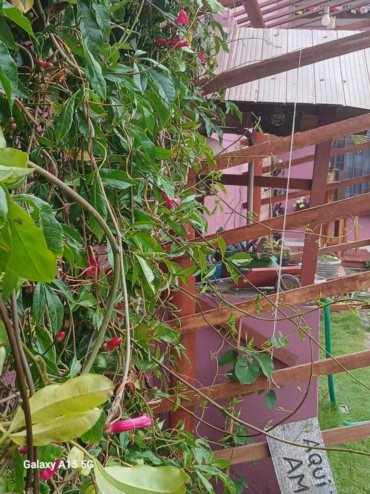 Recanto Pequena Sereia São Mateus Exterior foto